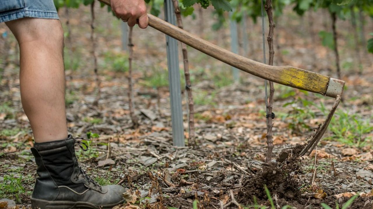 Bei der Arbeit Bei der Arbeit